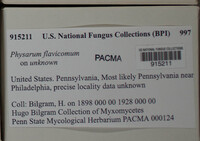 Image Associated With the Occurence